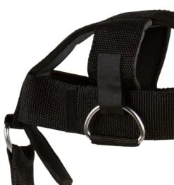 Schiek 1/4" Nylon Head Harness - Black 9 Schiek 1/4" Nylon Head Harness - Black -Fitness Supplies Store 1500H Schiek Adjustable Head Harness with Chain Padding Close Up