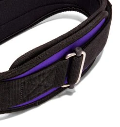 Schiek 2004 Contour Weight Lifting Belt - Purple -Fitness Supplies Store 2004 Schiek Contour Weight Lifting Belt Purple Buckle