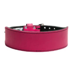 Cardillo Women's 310DL Stock Weight Lifting Belt - Pink