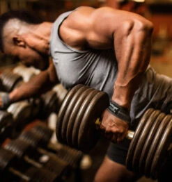 Harbinger 21.5" Leather Lifting Straps - Grey 12 Harbinger 21.5" Leather Lifting Straps - Grey -Fitness Supplies Store Harbinger 21 5 Leather Lifting Straps Grey Lifestyle 2