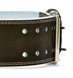 Schiek Competition Power Weight Lifting Belt - 9mm - Black - Double Prong Buckle -Fitness Supplies Store L6010 Schiek Competition Power Weight Lifting Belt Double Prong Side Close Up